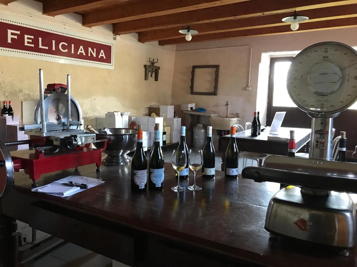 Agriturismo Feliciana Pozzolengo Eksteriør billede