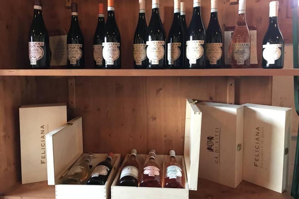 Agriturismo Feliciana Pozzolengo Eksteriør billede